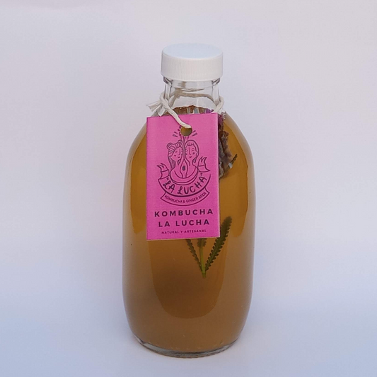 Six de kombucha surtido